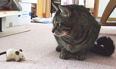 121223_1.jpg