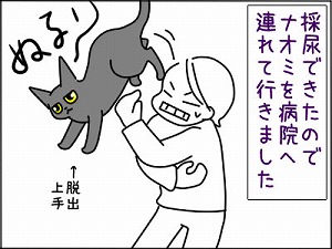 300-121230_1.jpg