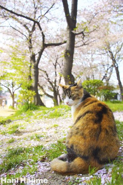 130406.jpg