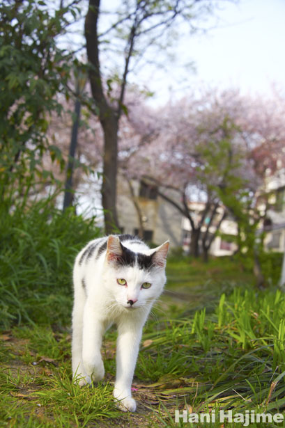 130407.jpg
