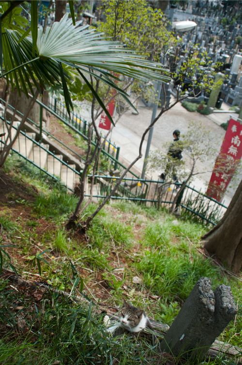 20120406中山法華経寺_058aps（変換後）