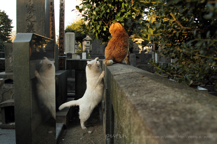 img14471701209dshyn.jpg