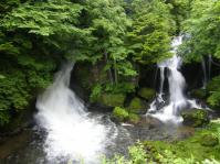 DSCF0218.jpg