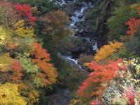 DSCF2741.jpg