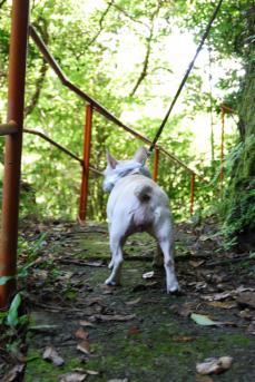 DSC_0639.jpg