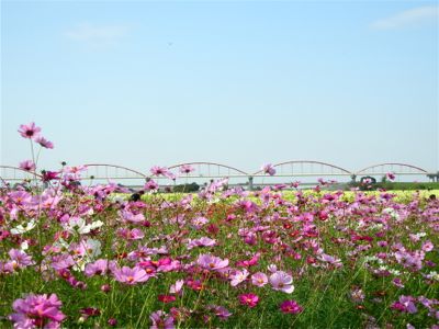 DSCN4062.jpg