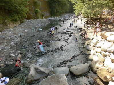 ウェルキャンプ西丹沢 川遊び