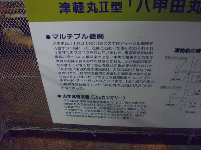 CIMG7991.jpg