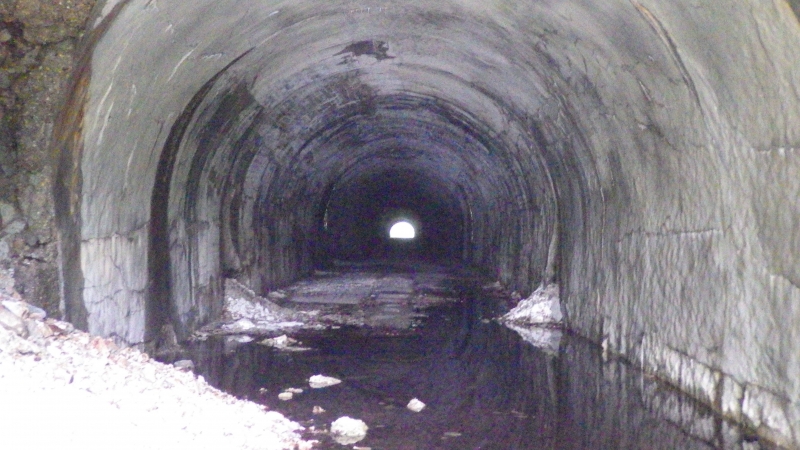 RIMG0557.jpg
