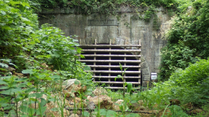 RIMG0577.jpg