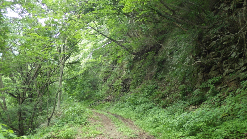 RIMG0584.jpg