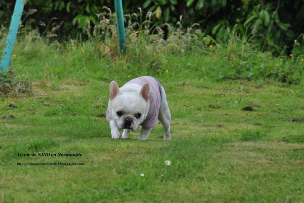 DSC_0193_convert_20120621230328.jpg