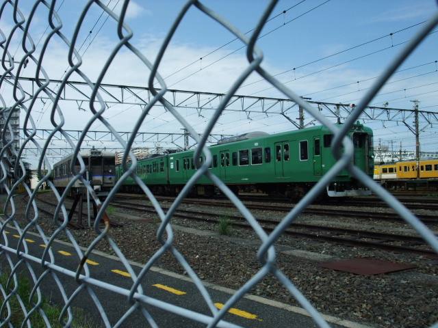DSCF5024.jpg