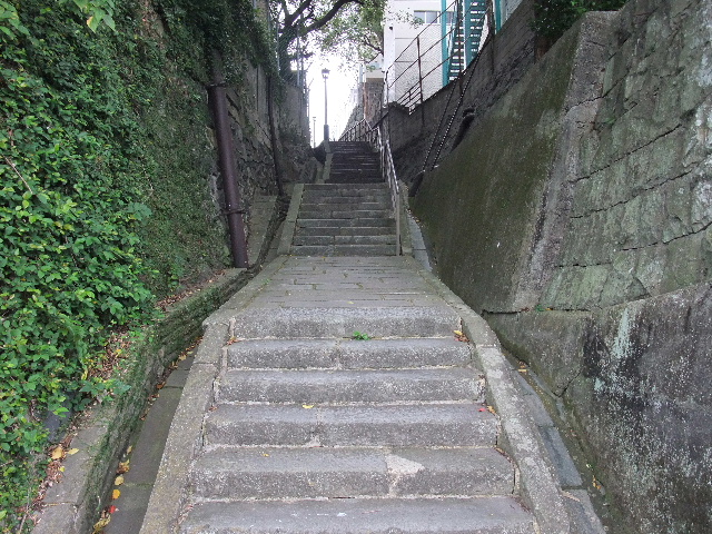 DSCF7081.jpg