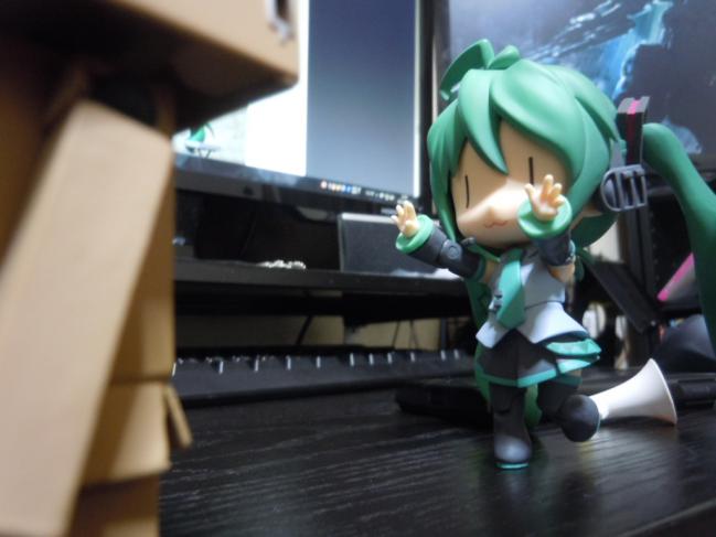 DSCN1333.jpg