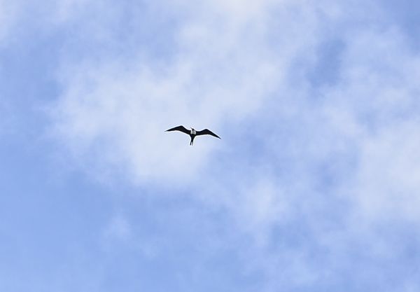 DSC_3650_20120911044359.jpg