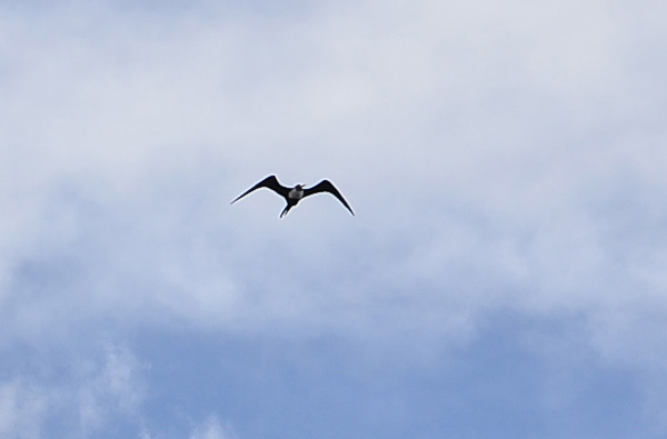 DSC_3655.jpg