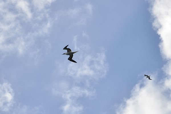 DSC_3658.jpg