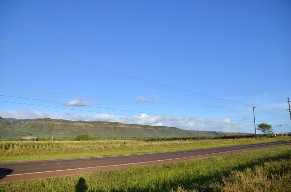 DSC_3797.jpg