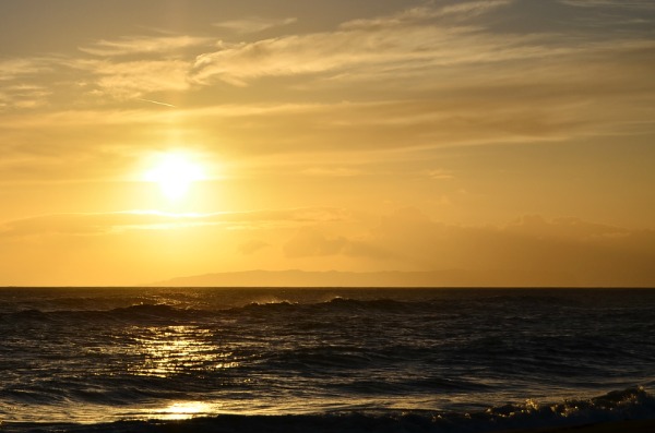 DSC_3832a.jpg