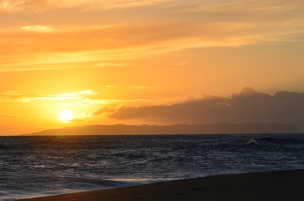 DSC_3840a.jpg