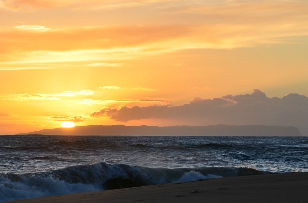 DSC_3843a.jpg