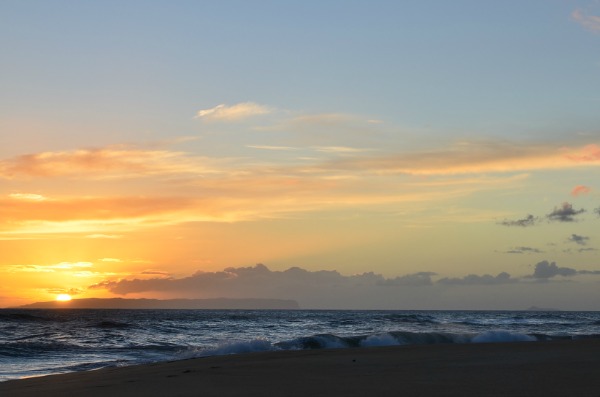 DSC_3844a.jpg