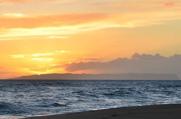 DSC_3849a.jpg
