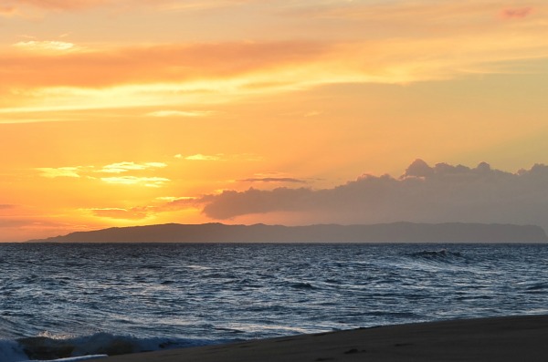 DSC_3850a.jpg