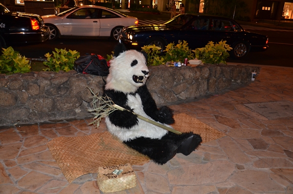 DSC_5377s.jpg