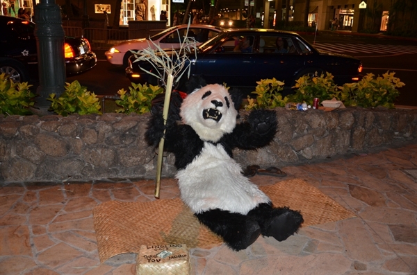 DSC_5378s.jpg
