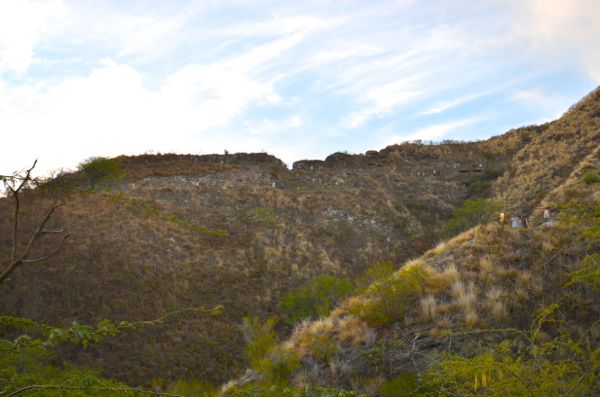 DSC_6382.jpg
