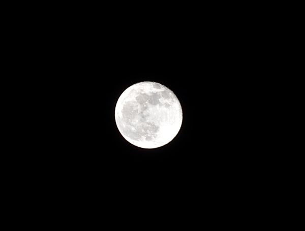 DSC_6550a.jpg