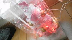 moblog_bc781b25.jpg