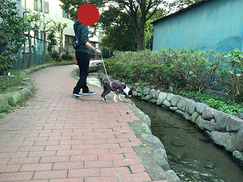 141019_13.jpg
