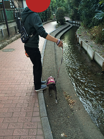 141019_14.jpg