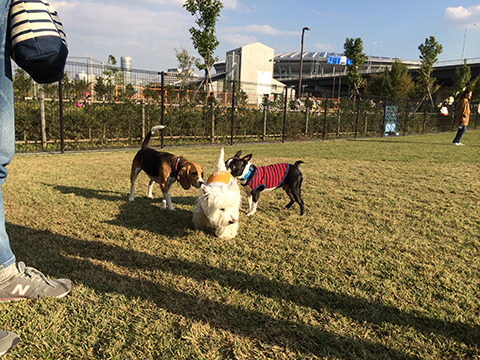 141021_12.jpg