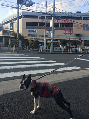 141025_09.jpg