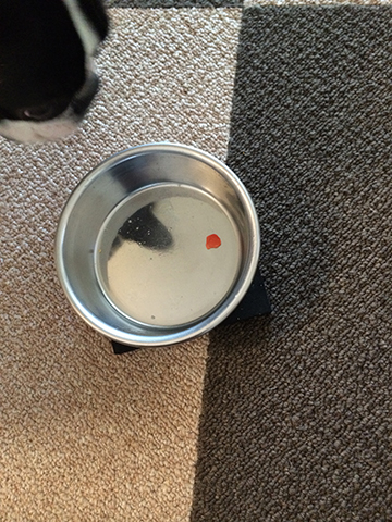 141030_13.jpg