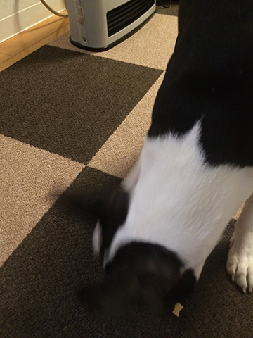 141101_12.jpg