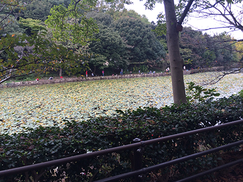 141102_03.jpg