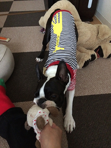 141102_11.jpg