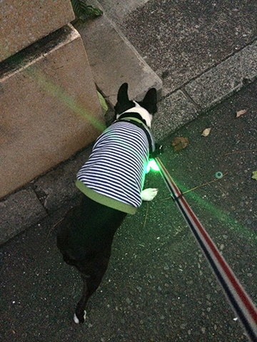141104_01.jpg