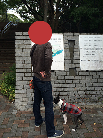 141105_06.jpg