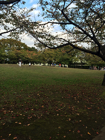 141105_09.jpg