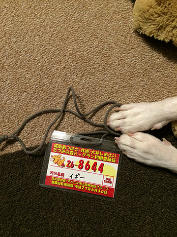 141105_11.jpg