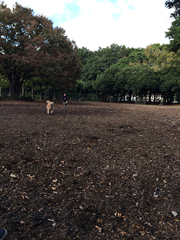141105_13.jpg