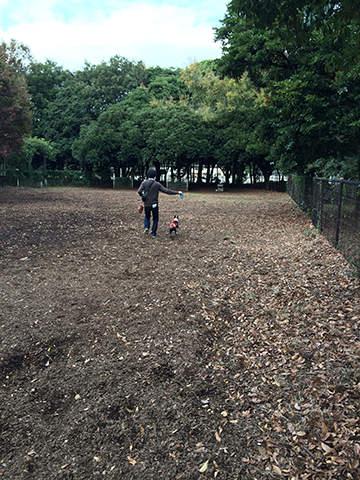 141106_04.jpg