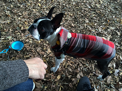 141106_07.jpg