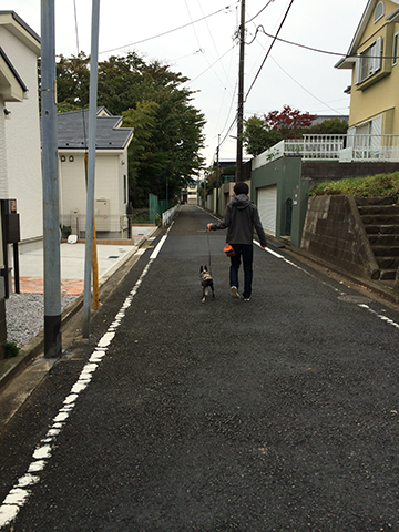 141109_02.jpg